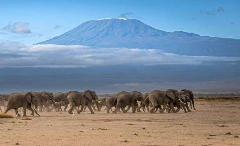 Amboseli National Park in Kenya