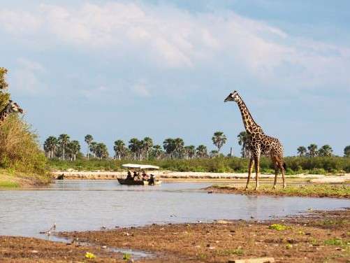 Boat safari in Tanzania