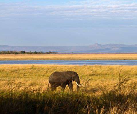 Katavi National Park in Tanzania