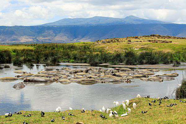 Lake Manyara National Park in Tanzania