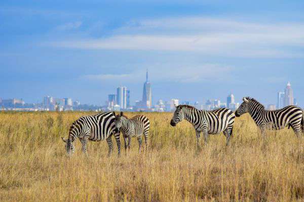 Nairobi National Park in Kenya