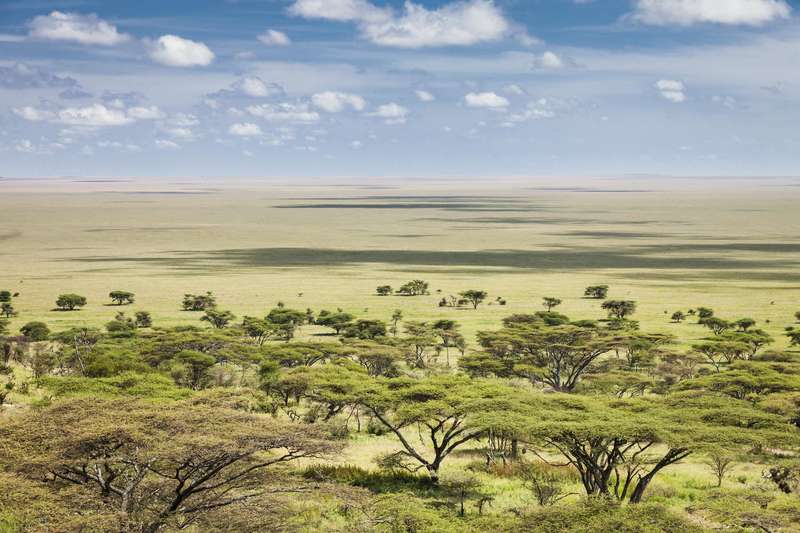 Serengeti National Park in Tanzania