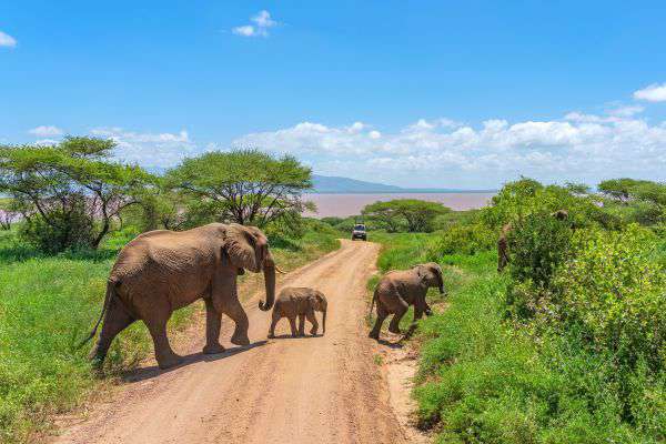 Tarangire National Park in Tanzania