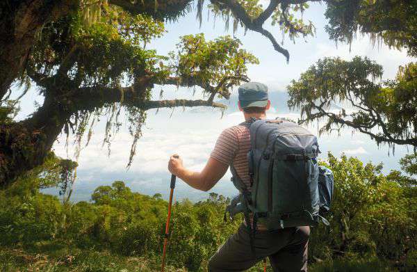 Walking Safari im Arusha Nationalpark