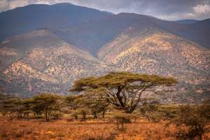 Landschaft Ngorongoro Schutzgebiet