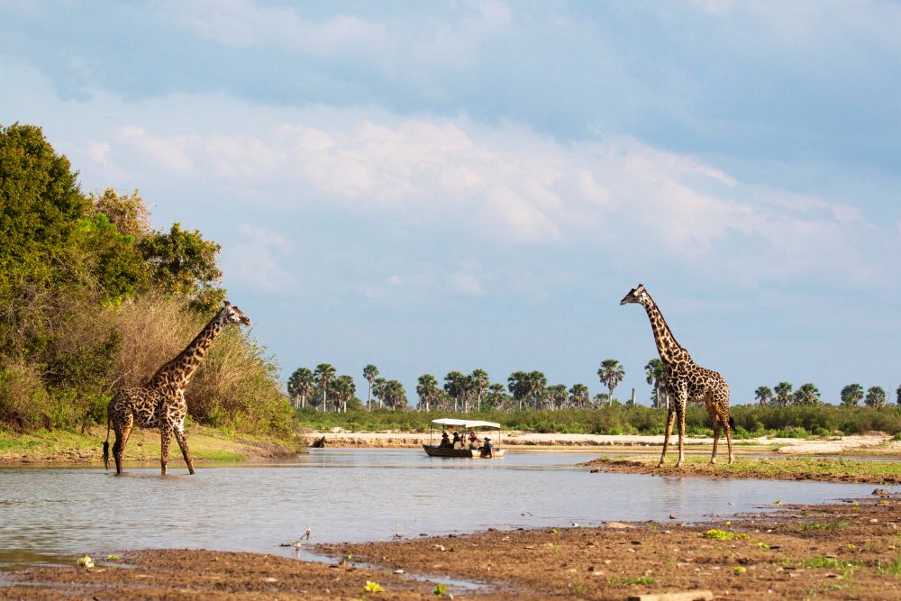 Bootsafari auf dem Rufiji-Fluss
