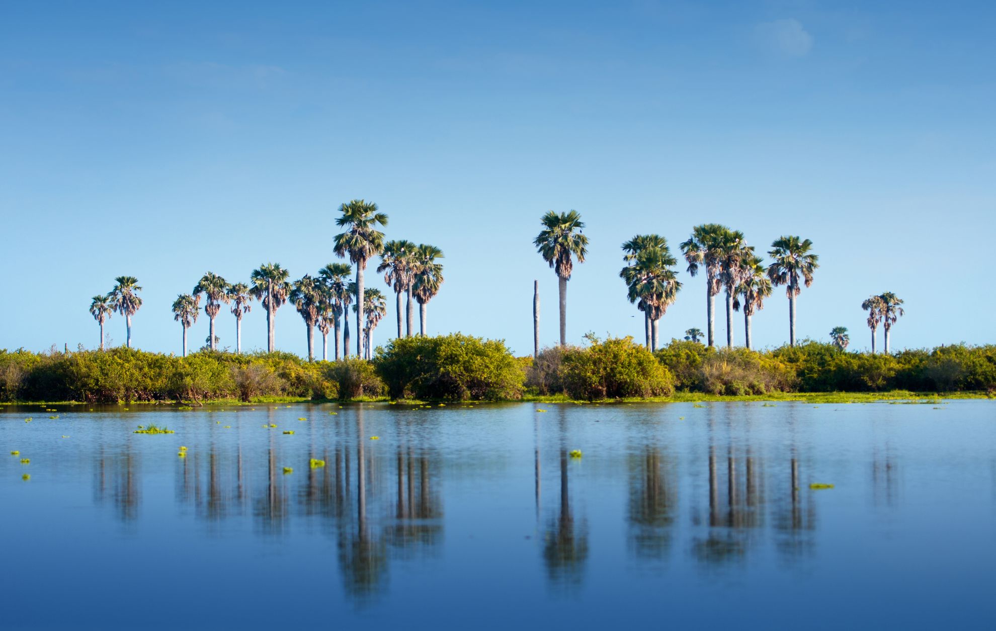 Die weiten Landschaften des Nyerere Nationalparks
