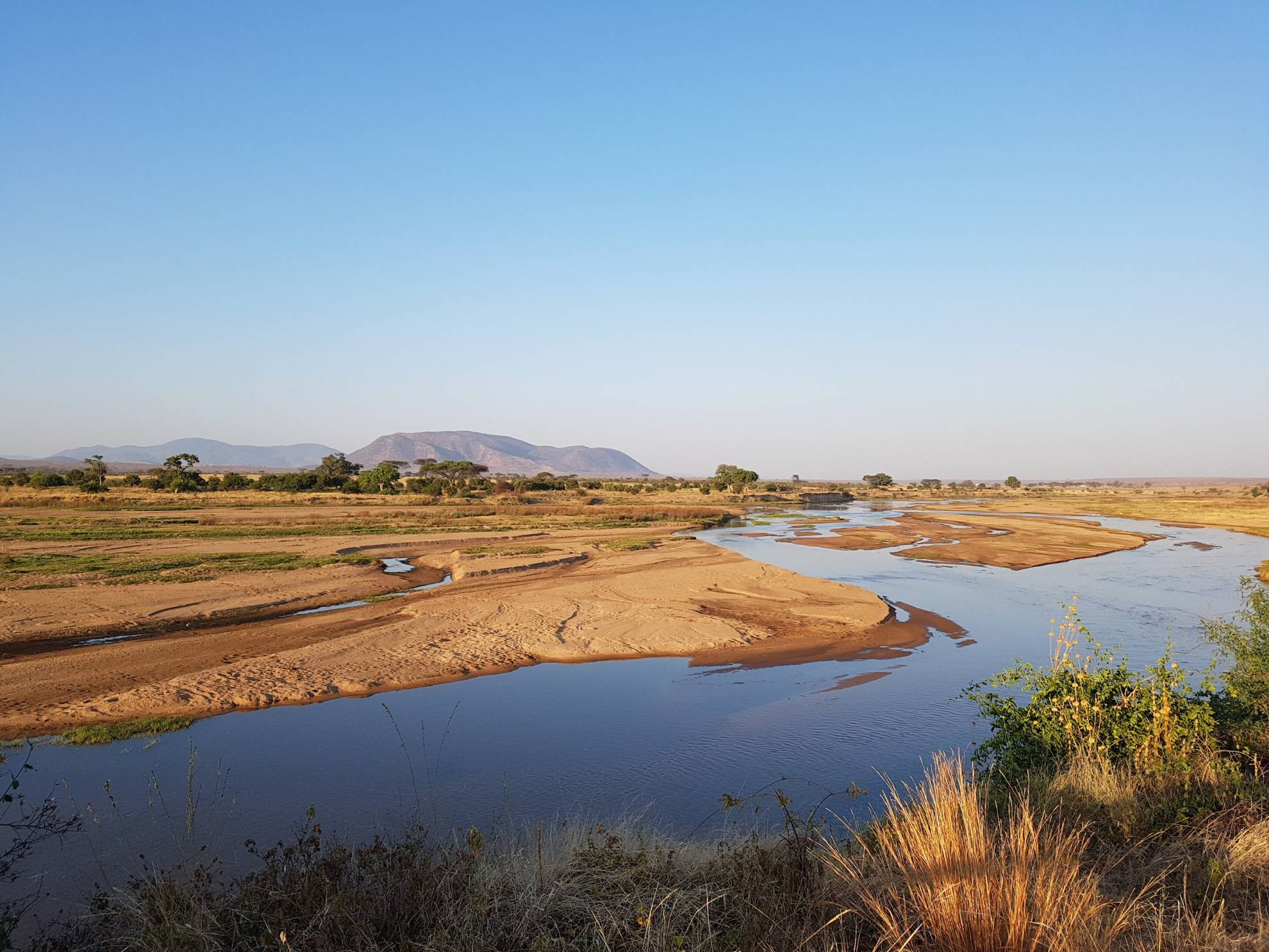 Die Vielfalt des Ruaha Nationalparks
