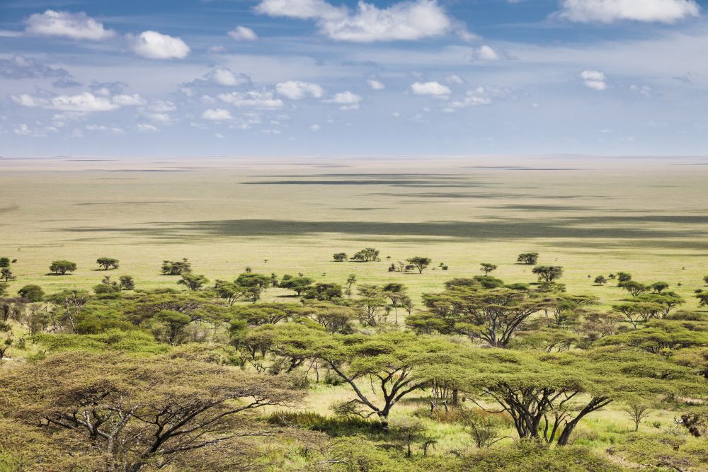 The vast plains of the Serengeti