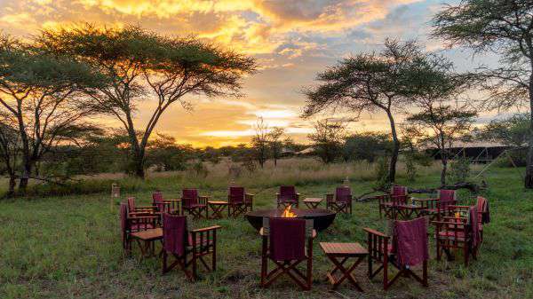 Sundowner in the bush
