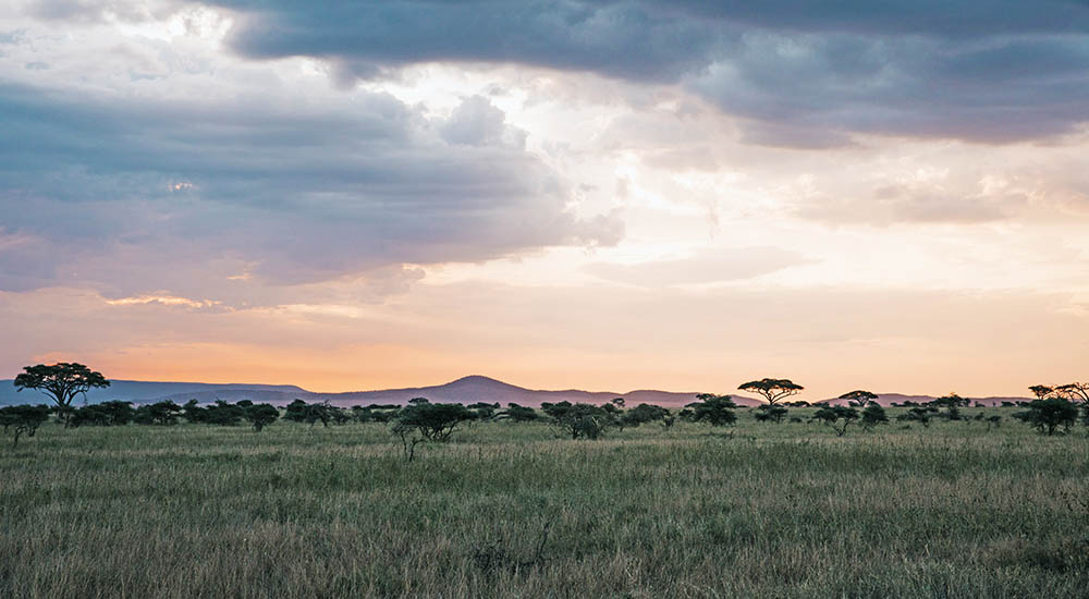 Serengeti im Sonnenaufgang